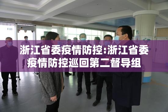 浙江省委疫情防控:浙江省委疫情防控巡回第二督导组
