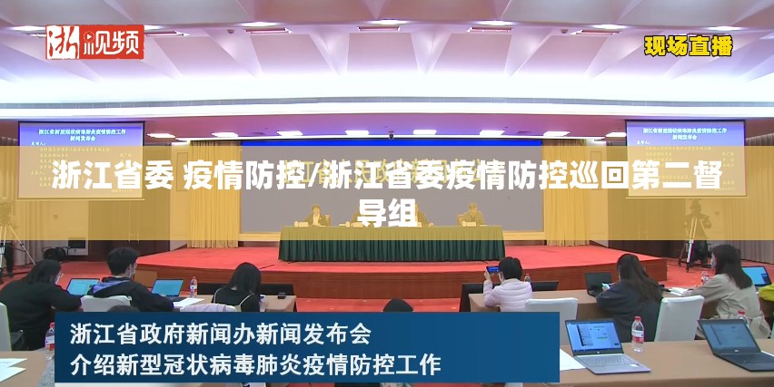 浙江省委 疫情防控/浙江省委疫情防控巡回第二督导组