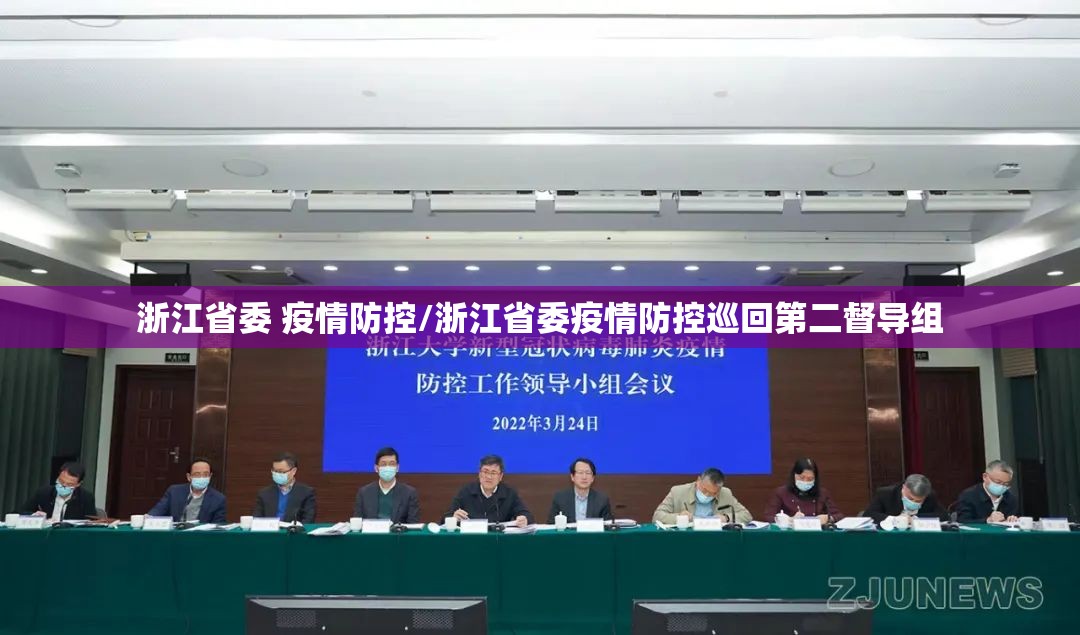 浙江省委 疫情防控/浙江省委疫情防控巡回第二督导组