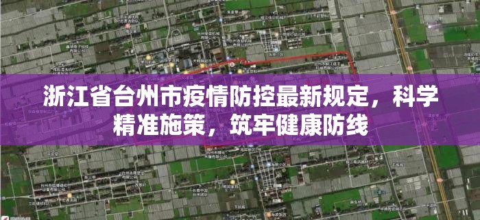 浙江省台州市疫情防控最新规定，科学精准施策，筑牢健康防线