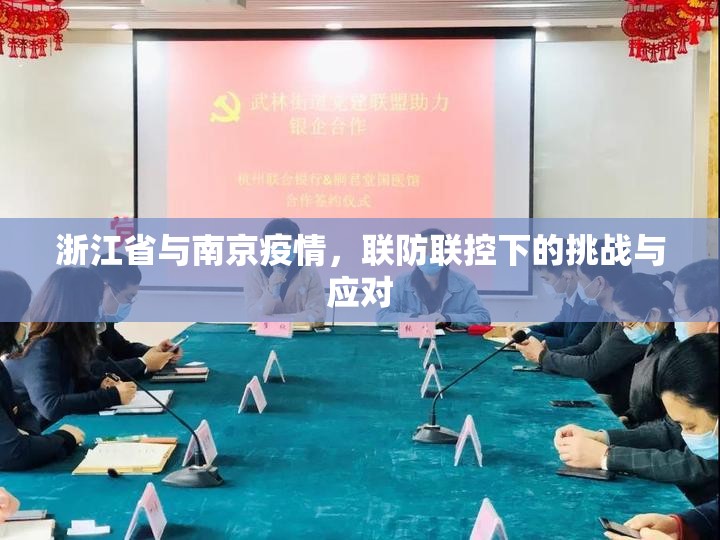 浙江省与南京疫情，联防联控下的挑战与应对