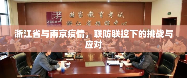 浙江省与南京疫情，联防联控下的挑战与应对