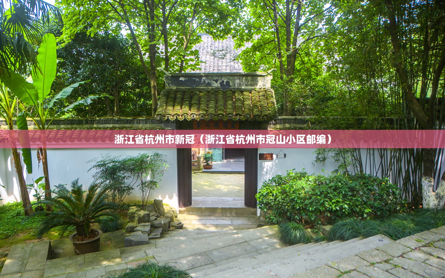 浙江省杭州市新冠（浙江省杭州市冠山小区邮编）