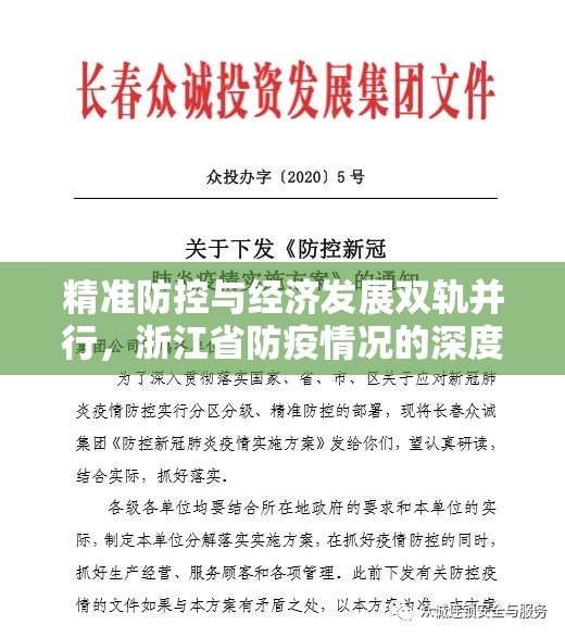 精准防控与经济发展双轨并行，浙江省防疫情况的深度解析