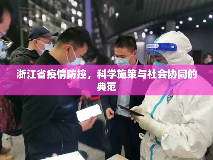 浙江省疫情防控，科学施策与社会协同的典范