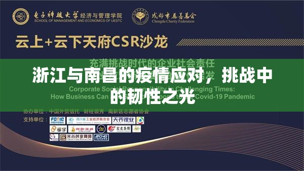 浙江与南昌的疫情应对，挑战中的韧性之光