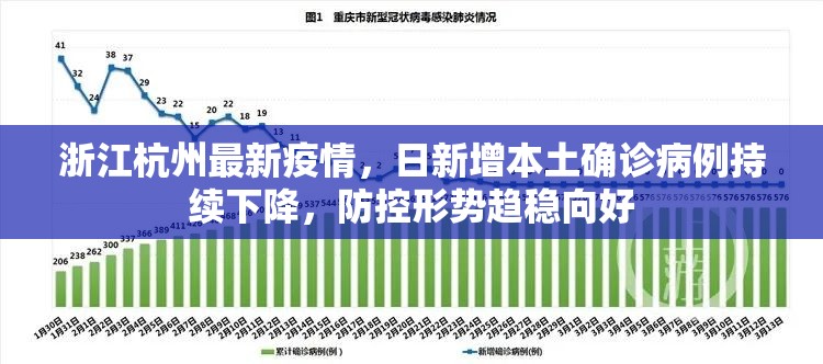 浙江杭州最新疫情，日新增本土确诊病例持续下降，防控形势趋稳向好