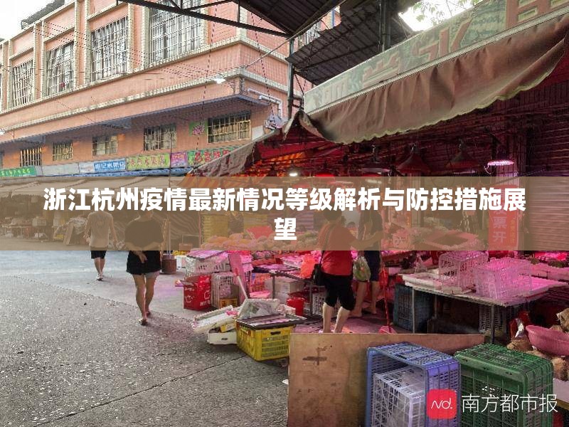 浙江杭州疫情最新情况等级解析与防控措施展望