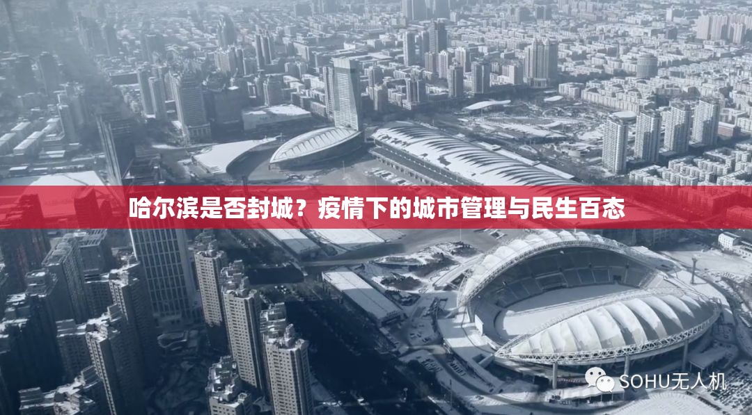 哈尔滨是否封城？疫情下的城市管理与民生百态