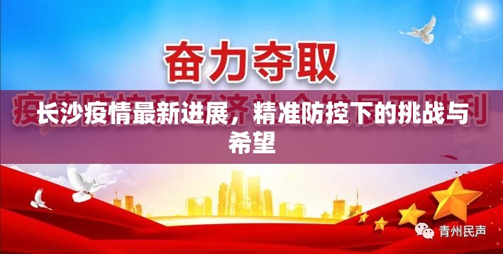 长沙疫情最新进展，精准防控下的挑战与希望