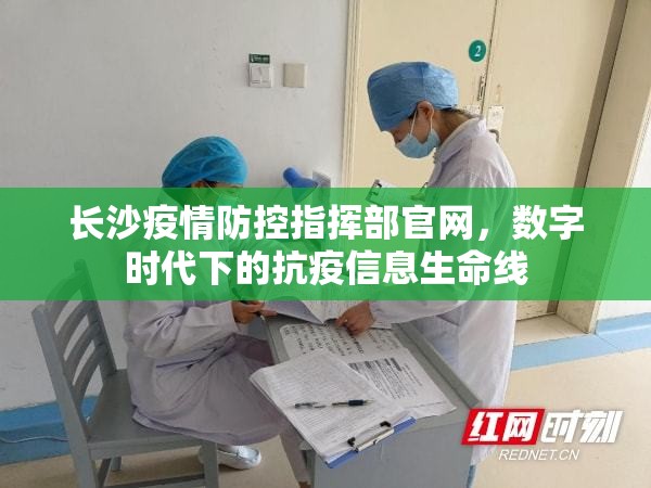 长沙疫情防控指挥部官网，数字时代下的抗疫信息生命线