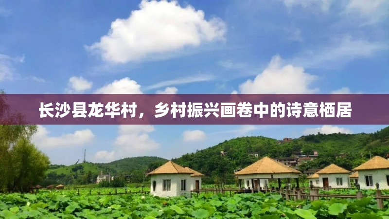 长沙县龙华村，乡村振兴画卷中的诗意栖居