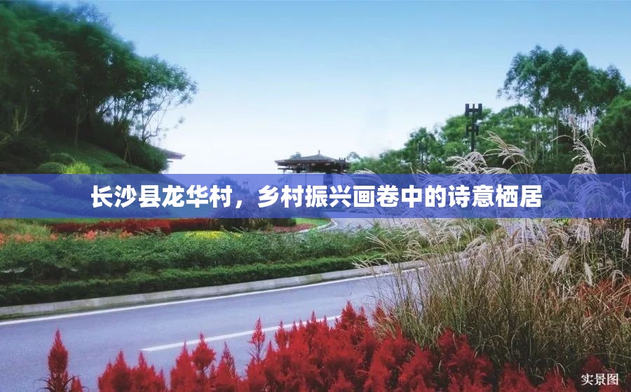 长沙县龙华村，乡村振兴画卷中的诗意栖居