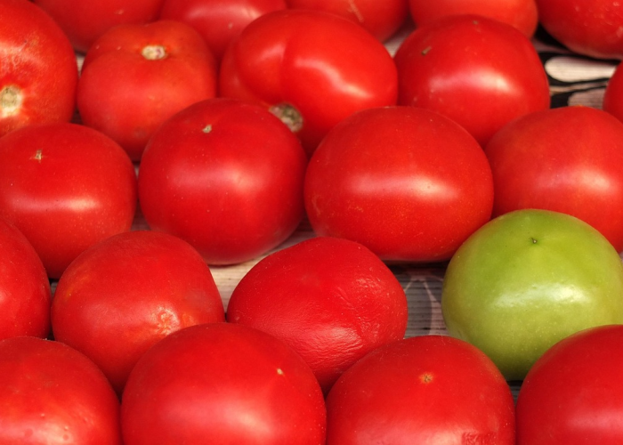 推荐一款”微乐捉鸡麻将外卦神器下载”原来确实有挂! 推荐一款”微乐捉鸡麻将外卦神器下载”原来确实有挂!