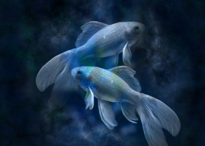 实测辅助“德扑之星有挂吗鱼都买不起了”其实确实有挂 实测辅助“德扑之星有挂吗鱼都买不起了”其实确实有挂