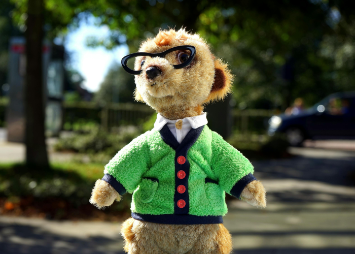 实测辅助“捞腌菜有猫腻吗”其实确实有挂 实测辅助“捞腌菜有猫腻吗”其实确实有挂