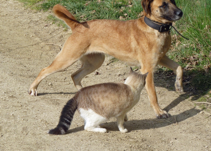 重磅来袭“软件上打麻将怎么开挂的啊”开挂(透视)辅助教程 重磅来袭“软件上打麻将怎么开挂的啊”开挂(透视)辅助教程