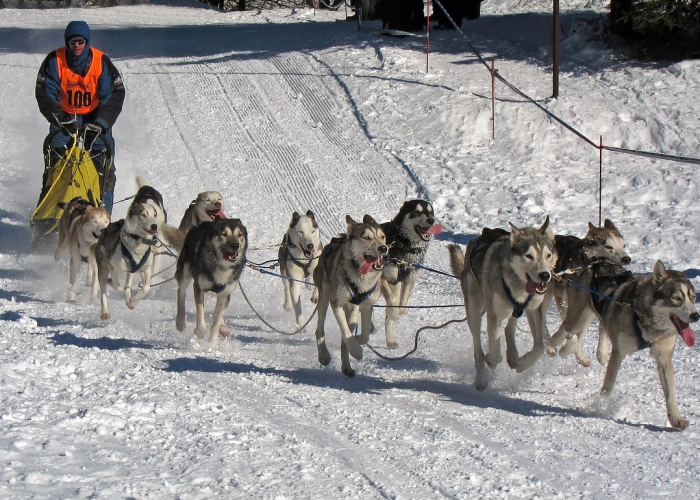 推荐一款”哈哈跑得快到底是不是有挂”其实确实有挂 推荐一款”哈哈跑得快到底是不是有挂”其实确实有挂