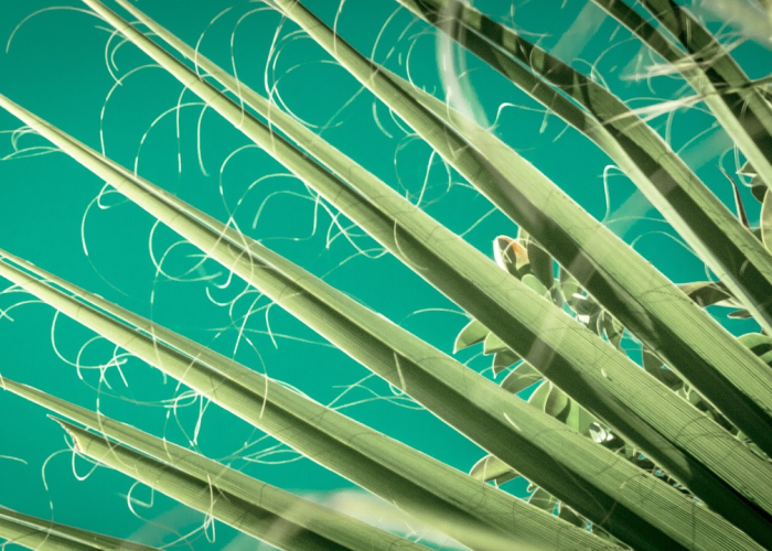 重磅来袭“麻将到底能不能开挂”其实确实有挂 重磅来袭“麻将到底能不能开挂”其实确实有挂