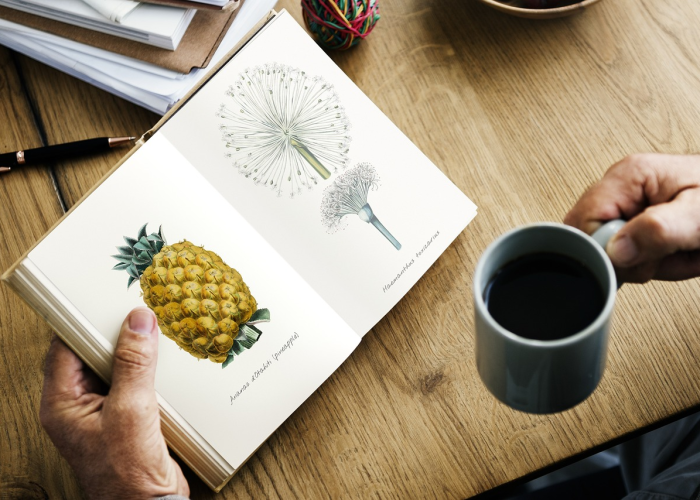 推荐一款”中至麻将有挂开吗"!专业师傅带你一起了解 推荐一款”中至麻将有挂开吗"!专业师傅带你一起了解