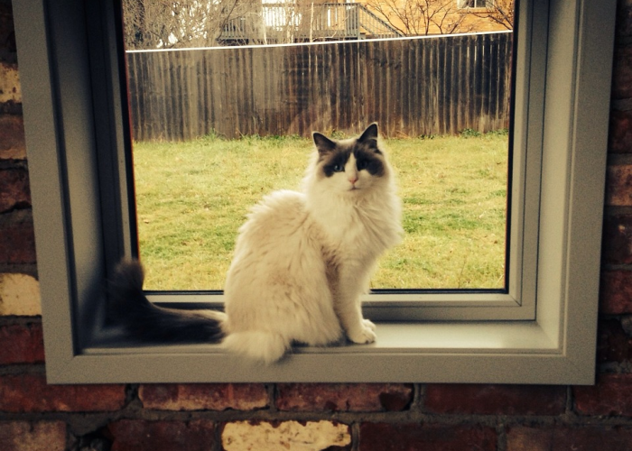 分析实测“一起宁德麻将钓蟹有挂嘛!分享用挂教程