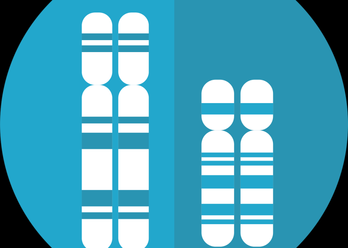 玩家秒懂“白金岛字牌有没有真实挂”(详细开挂教程)