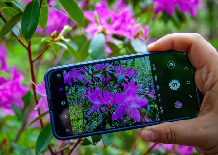 实测辅助“打手机麻将怎么开挂要花多少钱呢”详细开挂玩法