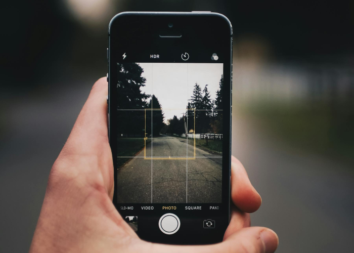 玩家秒懂“佛手十三道外挂怎么开”(详细开挂教程)