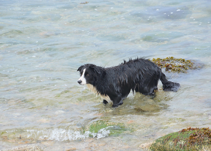 玩家秒懂“四川蜀山麻将开挂下载”原来确实有挂!