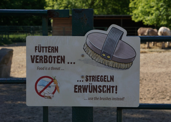 辅助神器“山西扣点点麻将开挂神器苹果版”最新辅助详细教程 辅助神器“山西扣点点麻将开挂神器苹果版”最新辅助详细教程